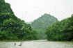 Thú vị khu du lịch sinh thái vườn chim Thung Nham