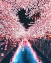 Tìm đâu ra nước nào được như Nhật Bản: Cả 4 mùa đều có nét đặc trưng riêng, đi vào lúc nào cũng thấy đẹp!