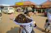 Nhện độc chiên và 4 món khiến bạn rùng mình ở Campuchia